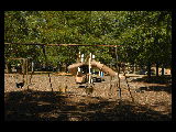 VanBeaver Park